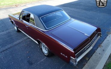 Pontiac-GTO-Coupe-1965-Maroon-Black-46238-4