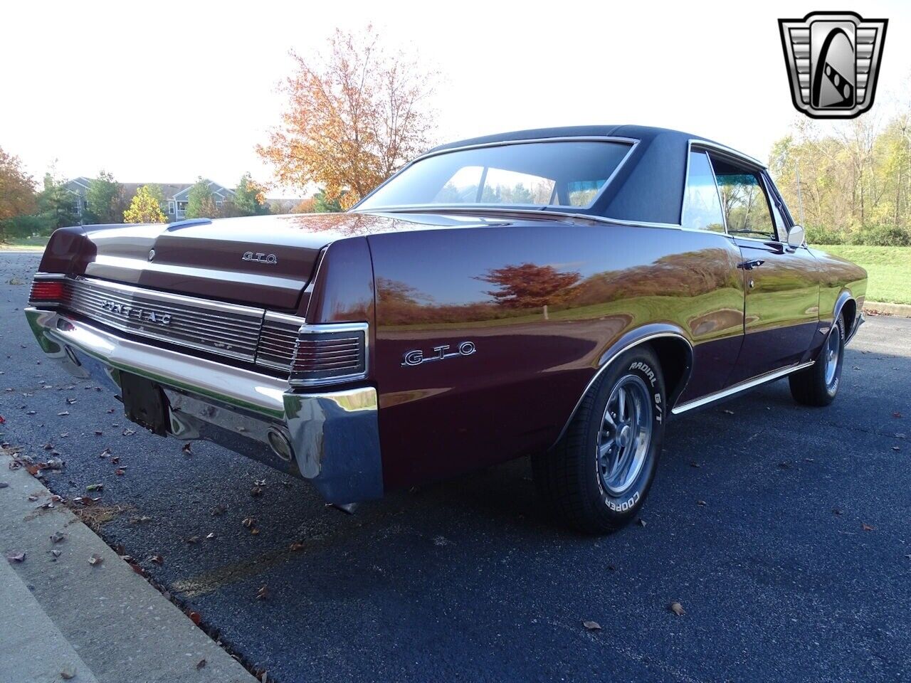 Pontiac-GTO-Coupe-1965-Maroon-Black-46238-6