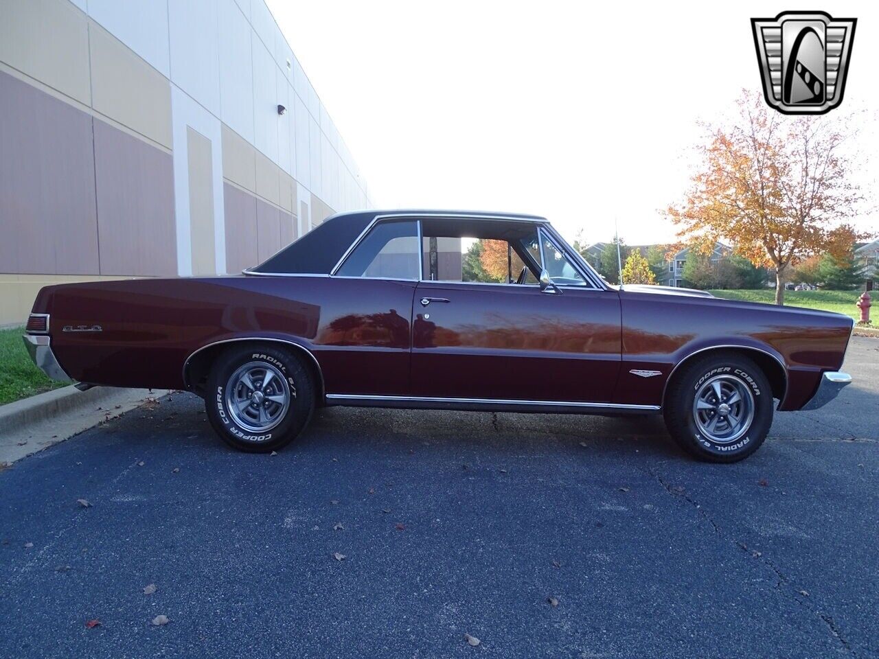 Pontiac-GTO-Coupe-1965-Maroon-Black-46238-7