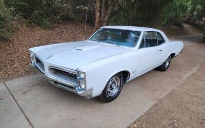 Pontiac GTO Coupe 1966 à vendre