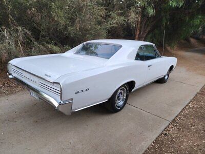 Pontiac-GTO-Coupe-1966-White-Blue-52553-6