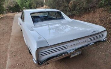 Pontiac-GTO-Coupe-1966-White-Blue-52553-8