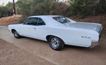 Pontiac-GTO-Coupe-1966-White-Blue-52553-9