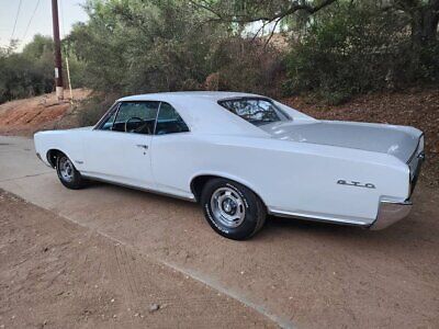 Pontiac-GTO-Coupe-1966-White-Blue-52553-9