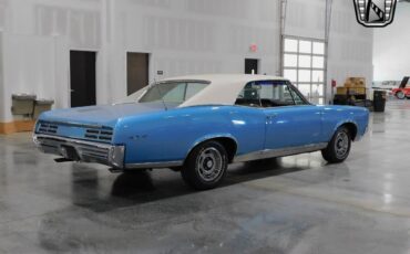 Pontiac-GTO-Coupe-1967-Blue-White-22621-4