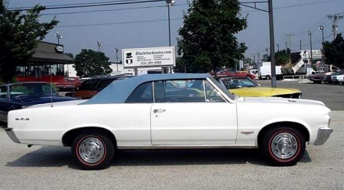 Pontiac-GTO-Documented-Cabriolet-1964-Blue-Blue-15305-18