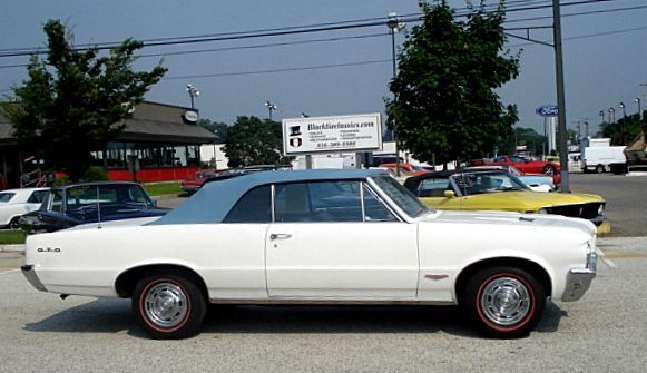 Pontiac-GTO-Documented-Cabriolet-1964-Blue-Blue-15305-2