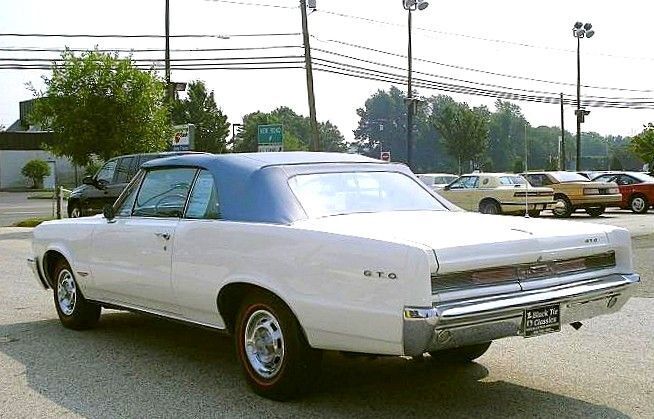 Pontiac-GTO-Documented-Cabriolet-1964-Blue-Blue-15305-20