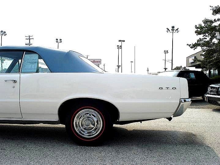 Pontiac-GTO-Documented-Cabriolet-1964-Blue-Blue-15305-29