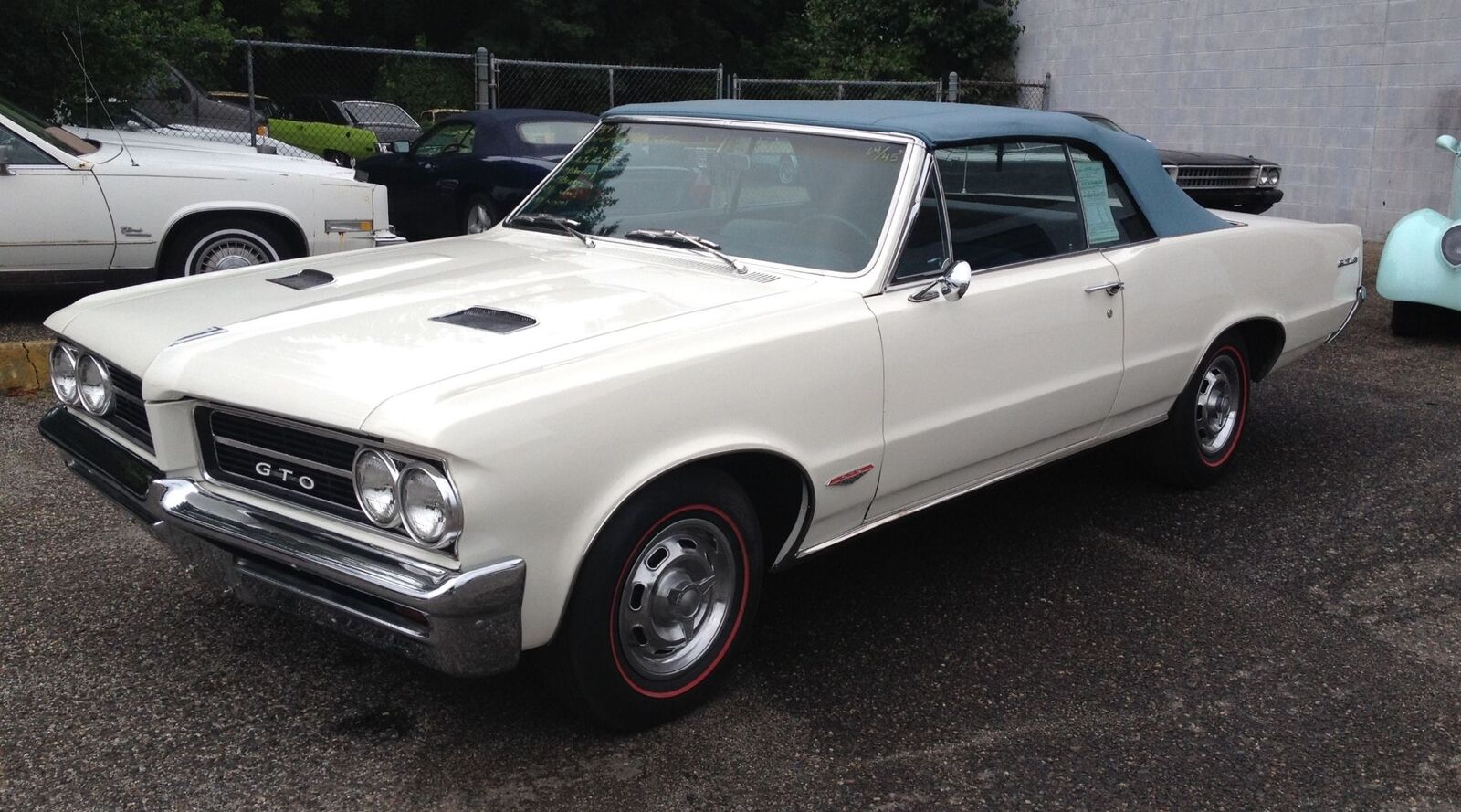 Pontiac-GTO-Documented-Cabriolet-1964-Blue-Blue-15305-32