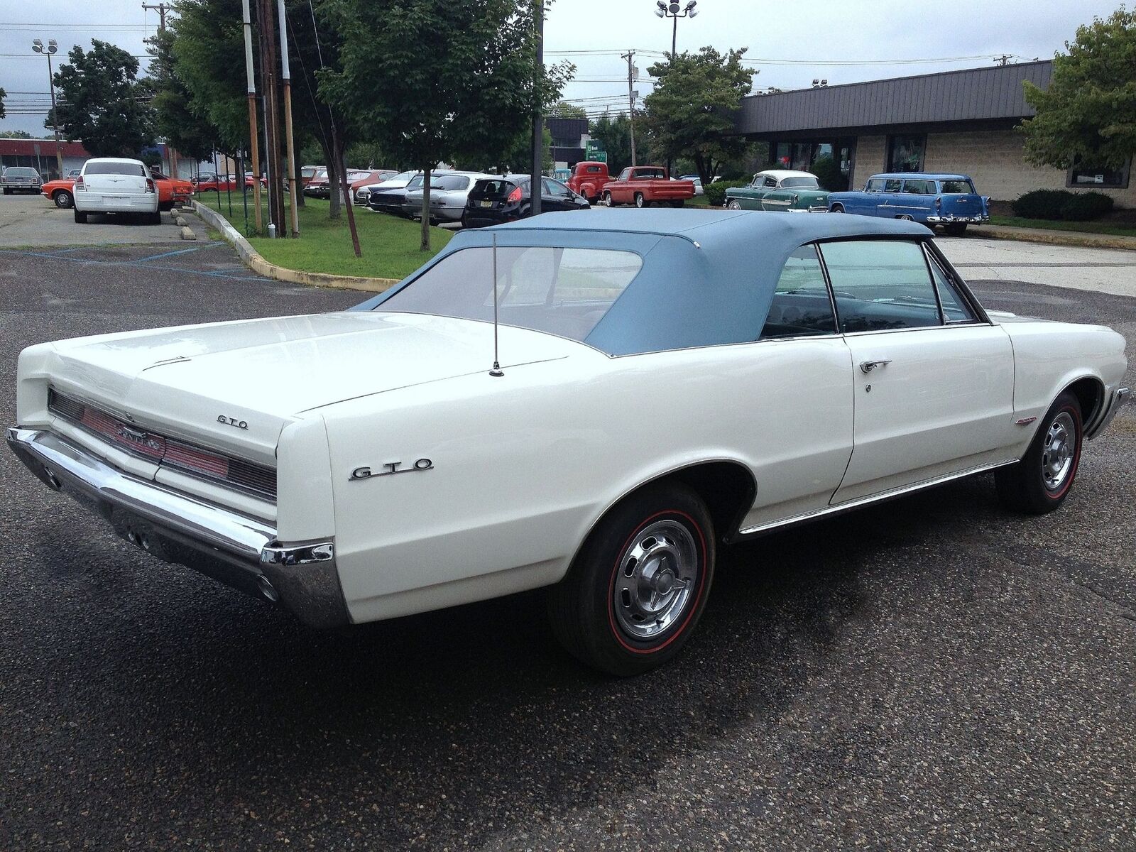 Pontiac-GTO-Documented-Cabriolet-1964-Blue-Blue-15305-35