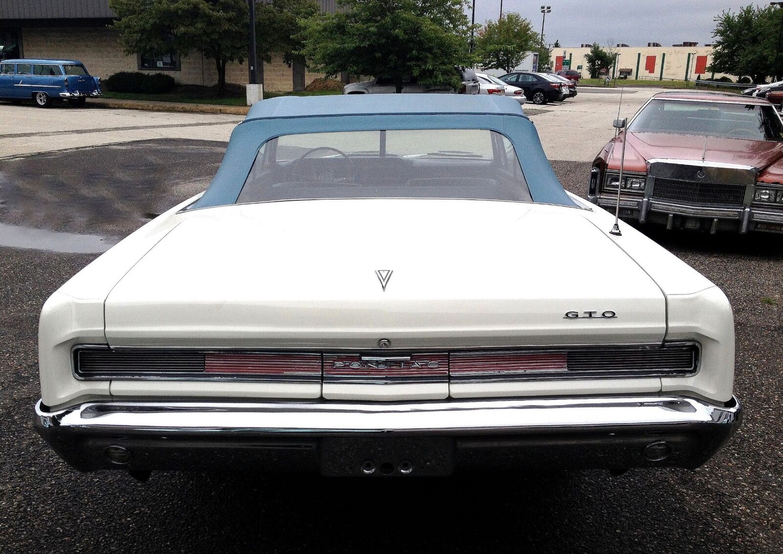 Pontiac-GTO-Documented-Cabriolet-1964-Blue-Blue-15305-36