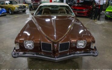 Pontiac-Grand-Prix-1973-Brown-Brown-888-10