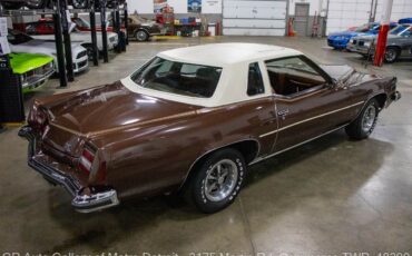 Pontiac-Grand-Prix-1973-Brown-Brown-888-6