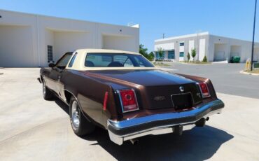 Pontiac-Grand-Prix-1977-Brown-Tan-36672-8