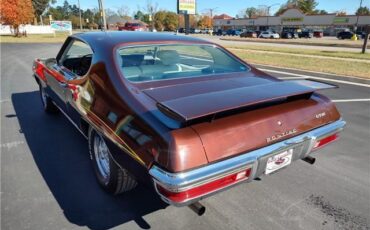 Pontiac-Le-Mans-1971-Brown-White-111045-10