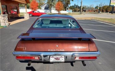 Pontiac-Le-Mans-1971-Brown-White-111045-11