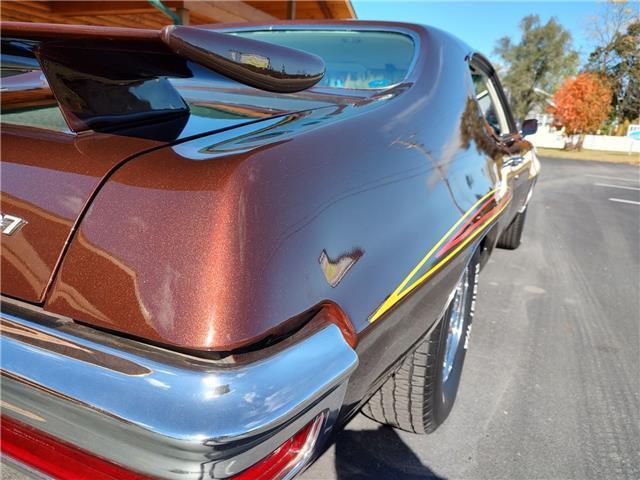 Pontiac-Le-Mans-1971-Brown-White-111045-28