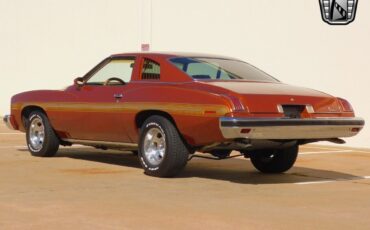 Pontiac-Le-Mans-1975-Brown-Brown-99519-4