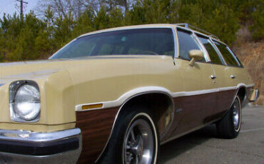 Pontiac-Le-Mans-1975-Gold-Brown-194423-17