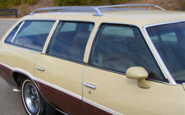 Pontiac-Le-Mans-1975-Gold-Brown-194423-21