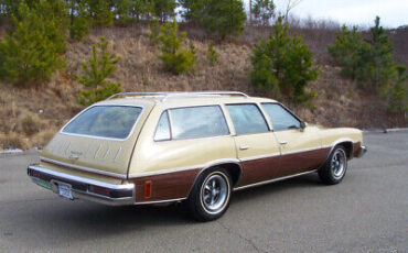 Pontiac-Le-Mans-1975-Gold-Brown-194423-3