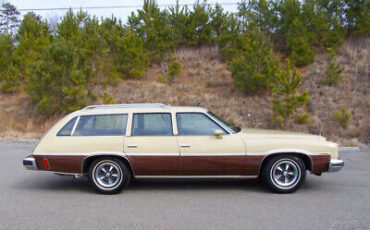 Pontiac-Le-Mans-1975-Gold-Brown-194423-5