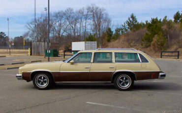 Pontiac-Le-Mans-1975-Gold-Brown-194423-6