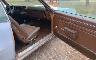 Pontiac-Lemans-1970-brown-33354-12