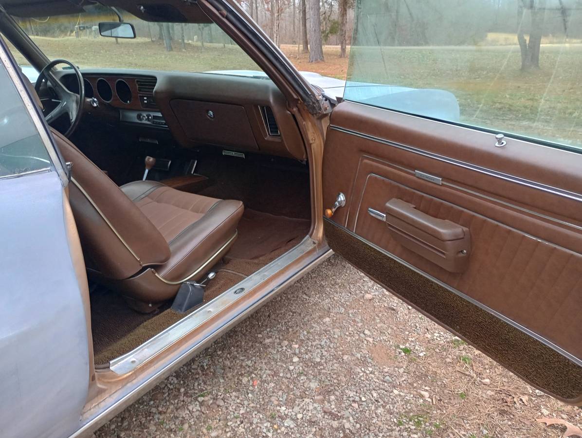 Pontiac-Lemans-1970-brown-33354-12