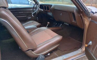 Pontiac-Lemans-1970-brown-33354-13