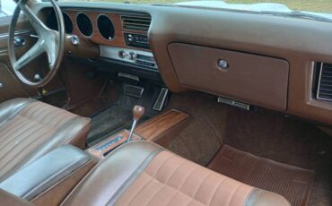 Pontiac-Lemans-1970-brown-33354-15