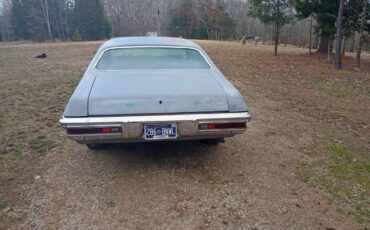 Pontiac-Lemans-1970-brown-33354-6