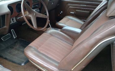 Pontiac-Lemans-sport-1970-brown-33362-9