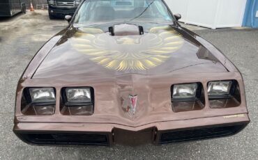 Pontiac-Special-Edition-1979-Brown-Saddle-Leather-36254-1