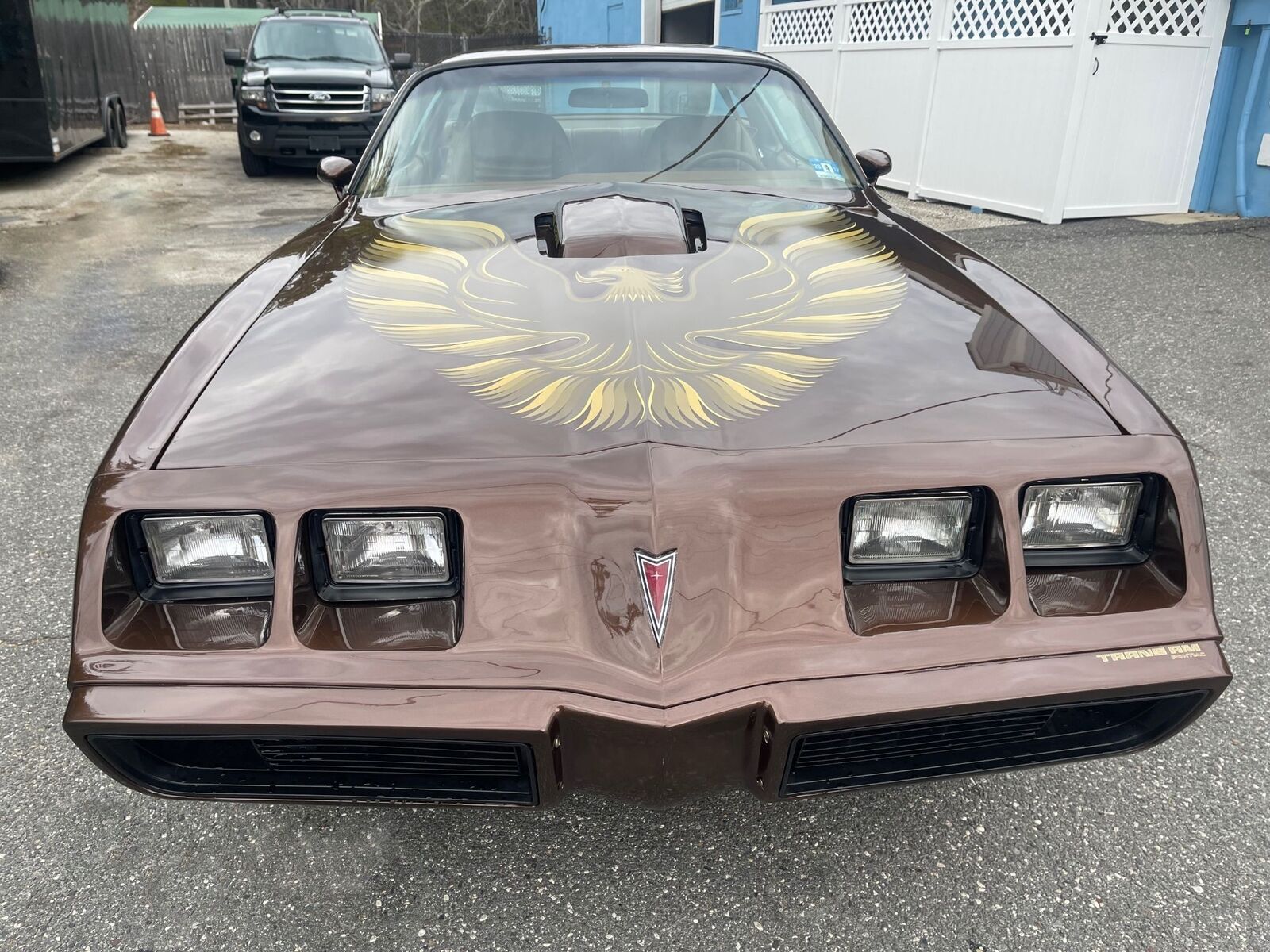 Pontiac-Special-Edition-1979-Brown-Saddle-Leather-36254-1