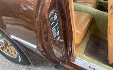 Pontiac-Special-Edition-1979-Brown-Saddle-Leather-36254-13