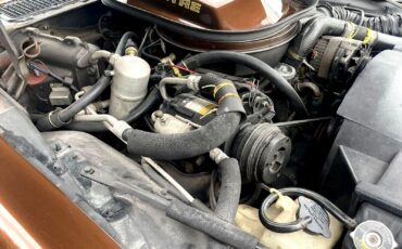 Pontiac-Special-Edition-1979-Brown-Saddle-Leather-36254-15