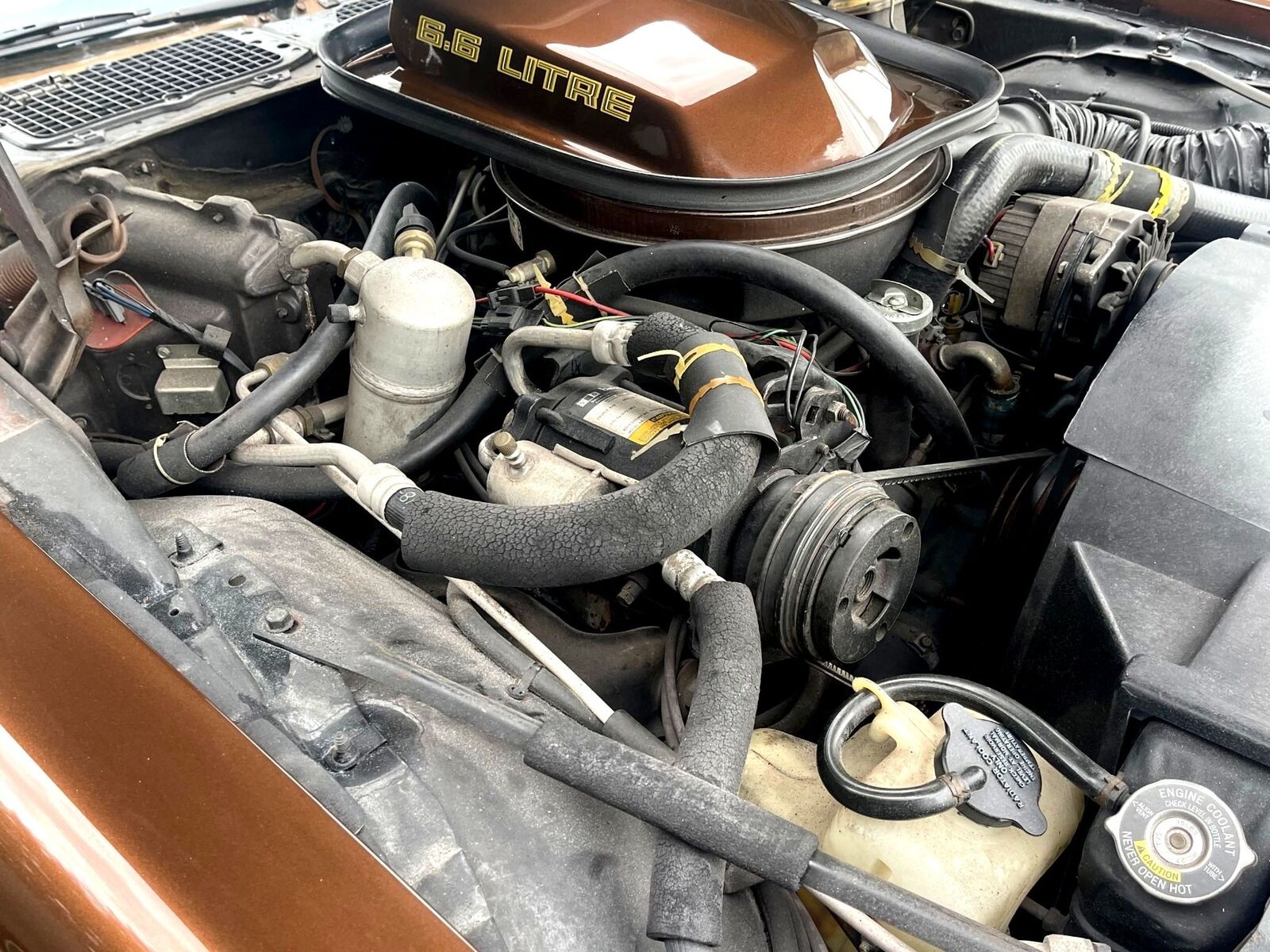 Pontiac-Special-Edition-1979-Brown-Saddle-Leather-36254-15