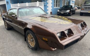 Pontiac-Special-Edition-1979-Brown-Saddle-Leather-36254-2