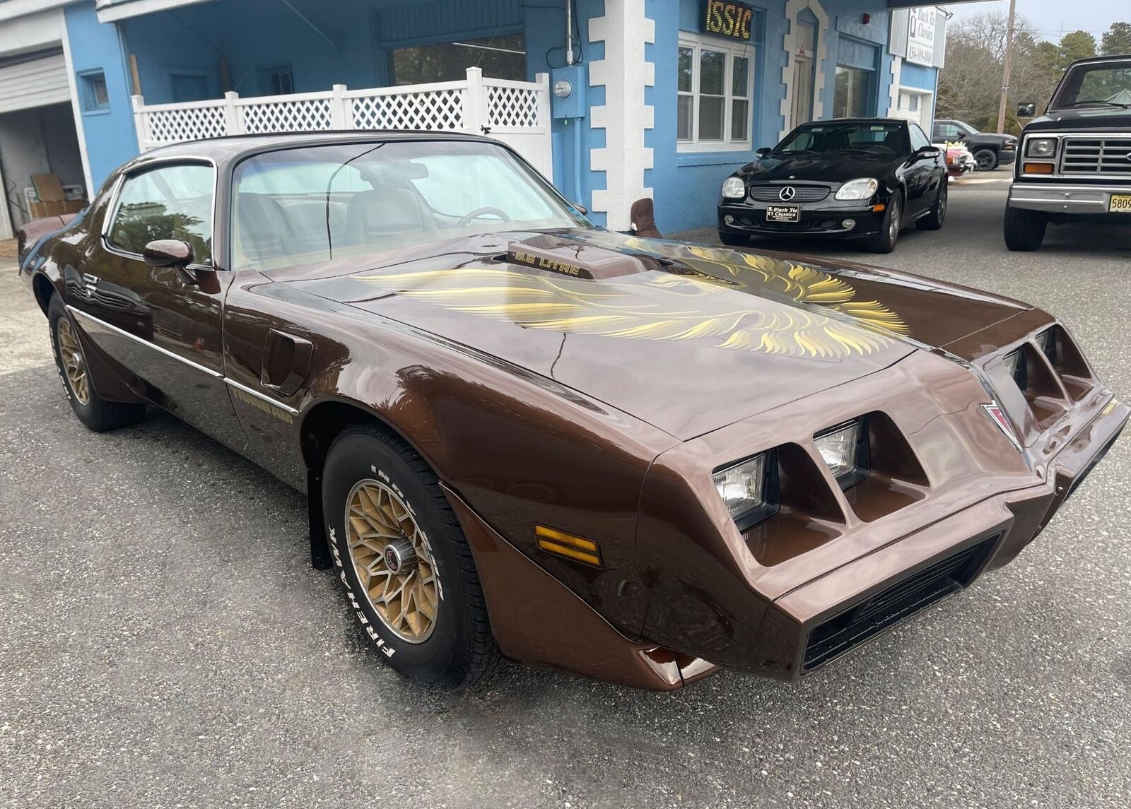 Pontiac-Special-Edition-1979-Brown-Saddle-Leather-36254-2