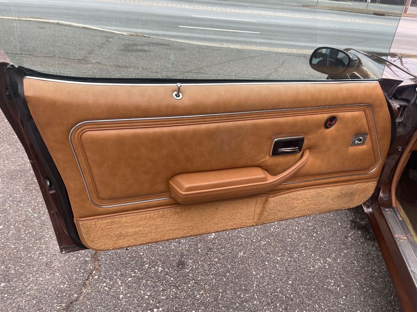 Pontiac-Special-Edition-1979-Brown-Saddle-Leather-36254-20