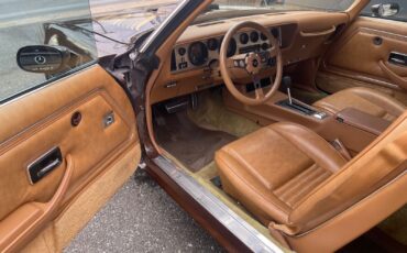 Pontiac-Special-Edition-1979-Brown-Saddle-Leather-36254-21