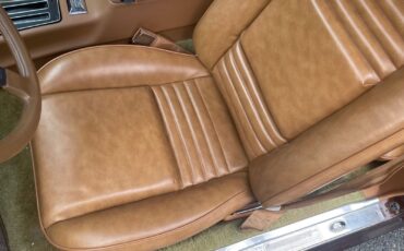 Pontiac-Special-Edition-1979-Brown-Saddle-Leather-36254-22