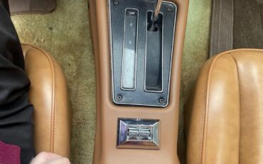 Pontiac-Special-Edition-1979-Brown-Saddle-Leather-36254-26