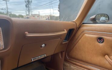 Pontiac-Special-Edition-1979-Brown-Saddle-Leather-36254-27