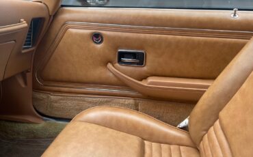 Pontiac-Special-Edition-1979-Brown-Saddle-Leather-36254-28