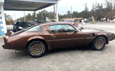 Pontiac-Special-Edition-1979-Brown-Saddle-Leather-36254-3