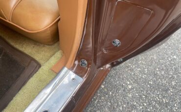 Pontiac-Special-Edition-1979-Brown-Saddle-Leather-36254-30