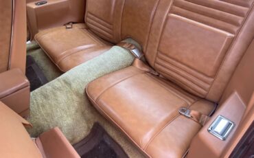 Pontiac-Special-Edition-1979-Brown-Saddle-Leather-36254-31